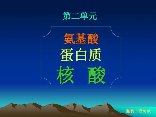 苏教版高中化学选修五课件氨基酸、蛋白质