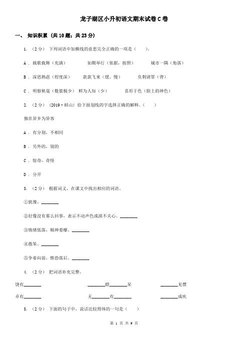 龙子湖区小升初语文期末试卷C卷