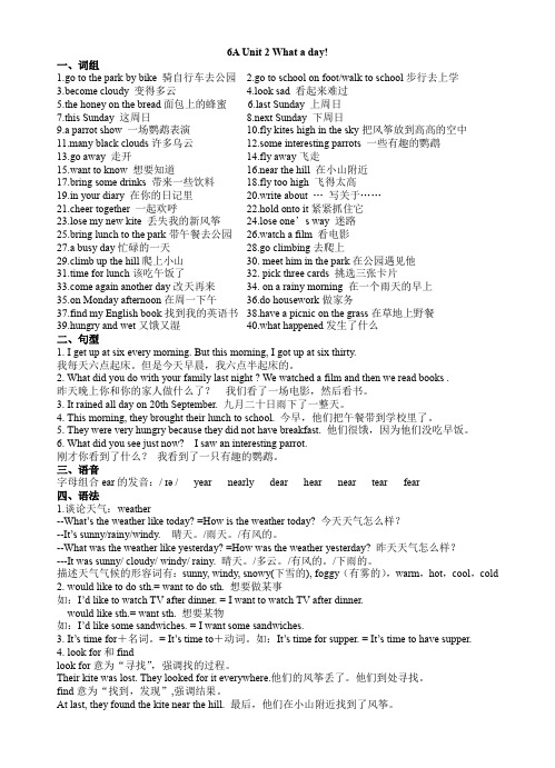 [译林版]6A Unit2 知识点、词汇和句型