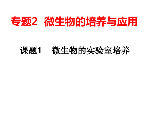 课题1微生物的实验室培养(用)