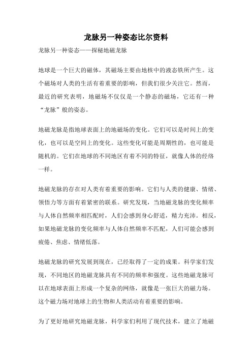 龙脉另一种姿态比尔资料