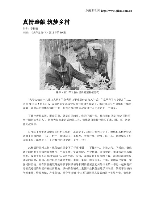 真情奉献 筑梦乡村