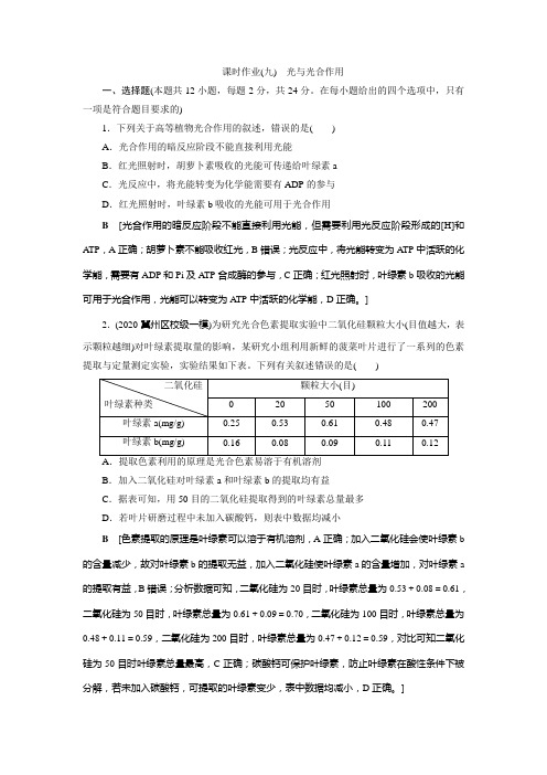 2022生物新高考(多选版)课时作业(九) 光与光合作用