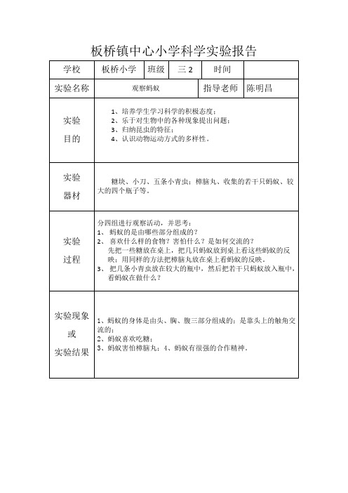 板桥镇中心小学科学实验报告(观察蚂蚁)