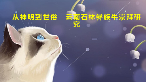 从神明到世俗—云南石林彝族牛崇拜研究