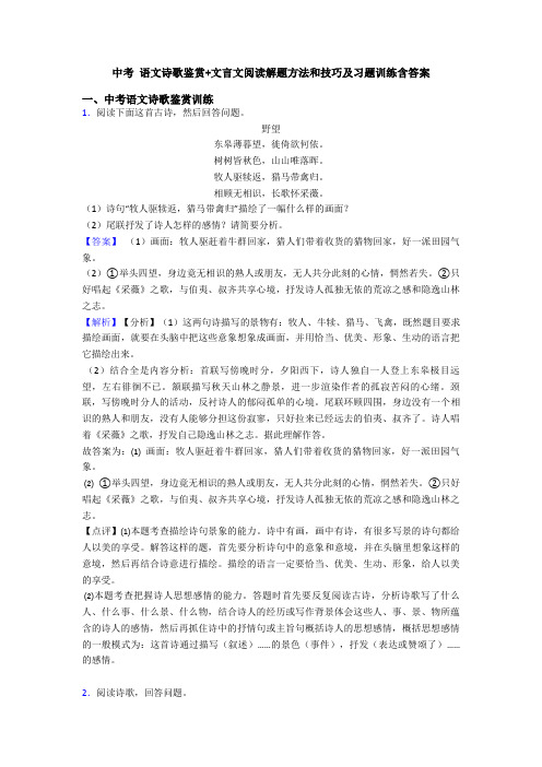 中考 语文诗歌鉴赏+文言文阅读解题方法和技巧及习题训练含答案