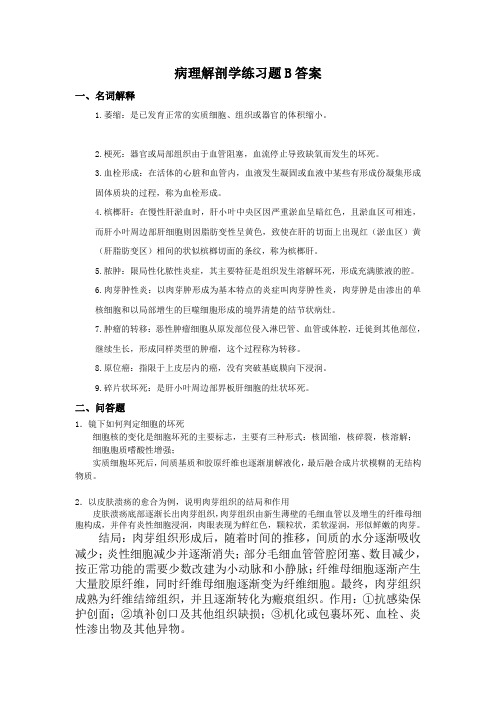 病理解剖学B卷答案