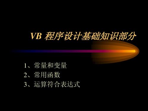 VB_程序设计基础知识部分