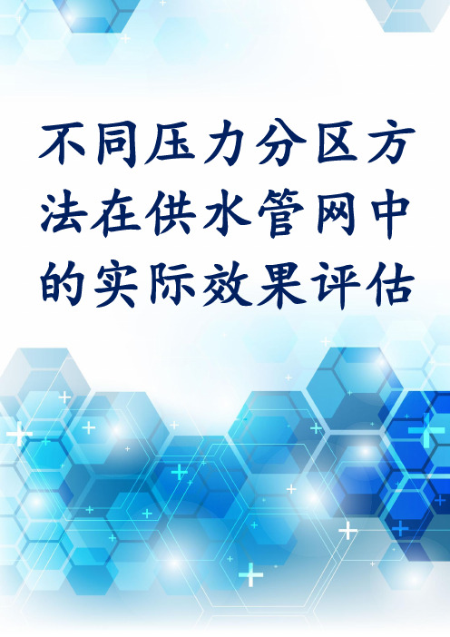 不同压力分区方法在供水管网中的实际效果评估