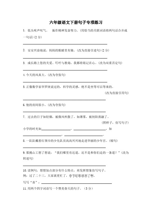 六年级语文下册句子专项练习 附答案