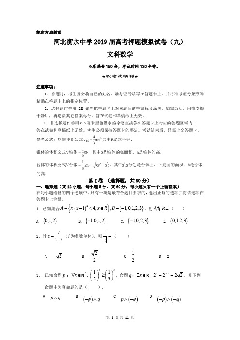 河北衡水中学2019届高考押题模拟试卷(九)数学(文)试题含答案