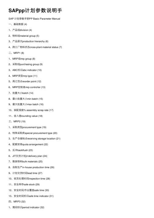 SAPpp计划参数说明手