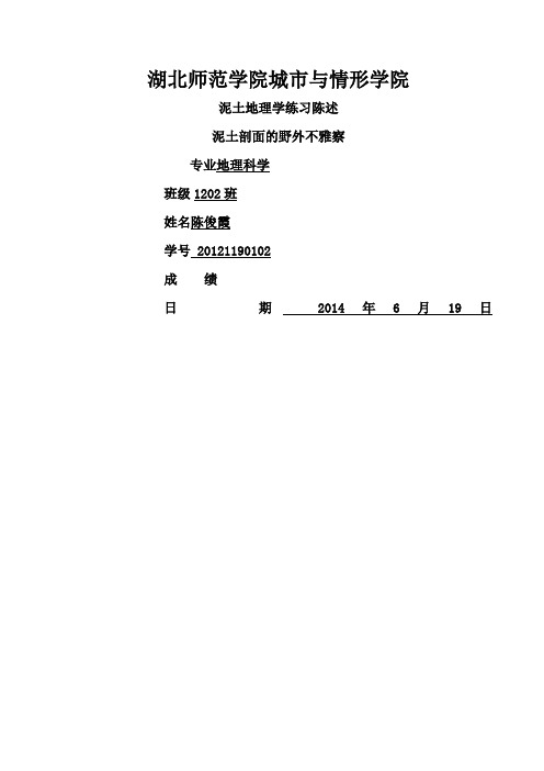 土壤剖面实验报告