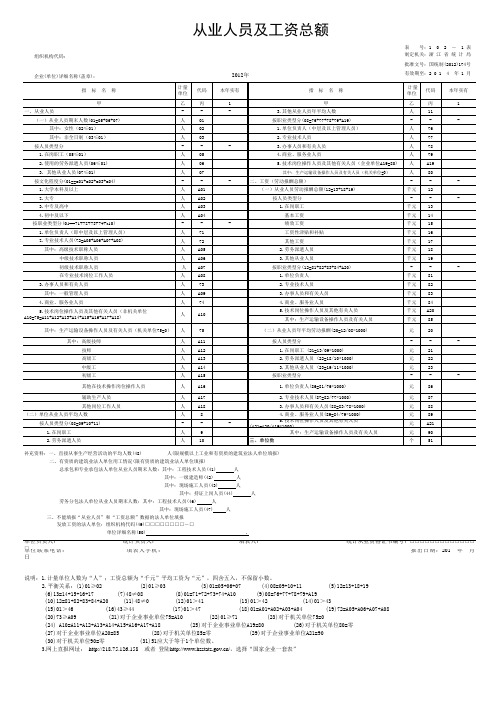 最新2012年度从业人员及工资总额(样表)