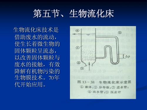 第五节、生物流化床