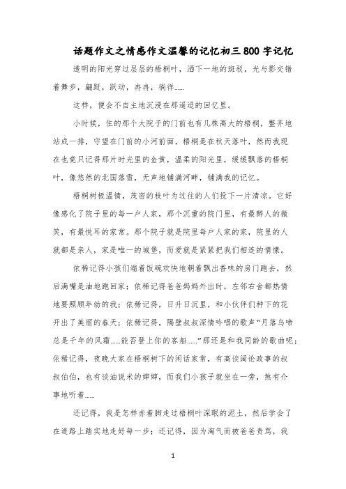 话题作文之情感作文温馨的记忆初三800字记忆