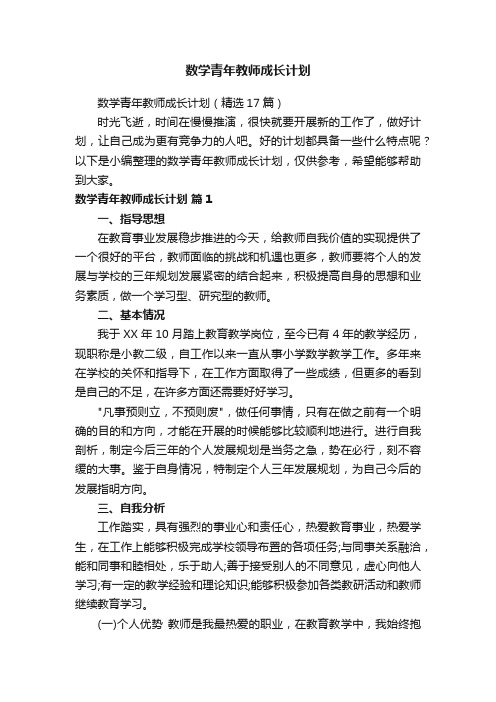 数学青年教师成长计划