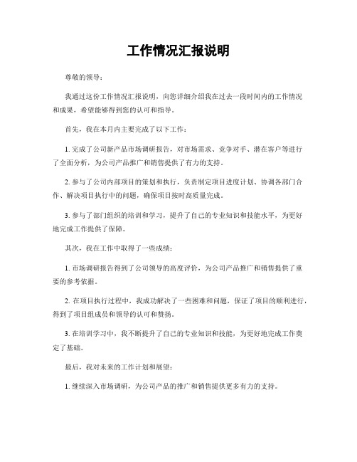 工作情况汇报说明