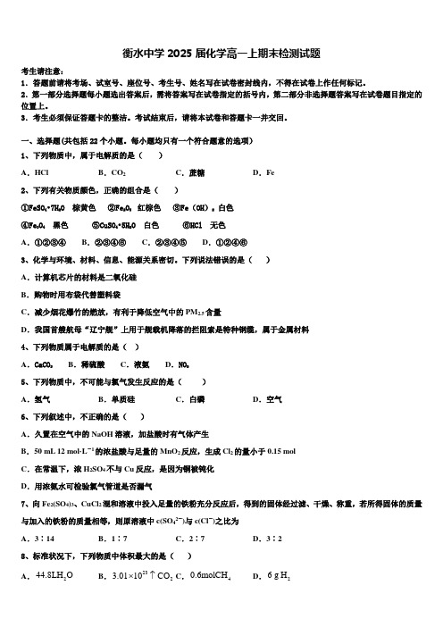 衡水中学2025届化学高一上期末检测试题含解析