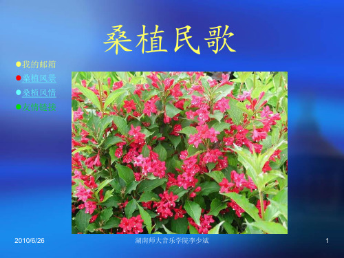 桑植民歌欣赏