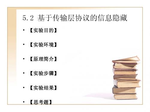 网络协议信息隐藏部分第二卷网络协议分析