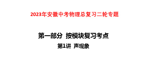 2023年安徽中考物理总复习二轮专题课件：第1讲 声现象