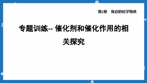 专题训练催化剂和催化作用的相关探究九年级化学沪教版上册