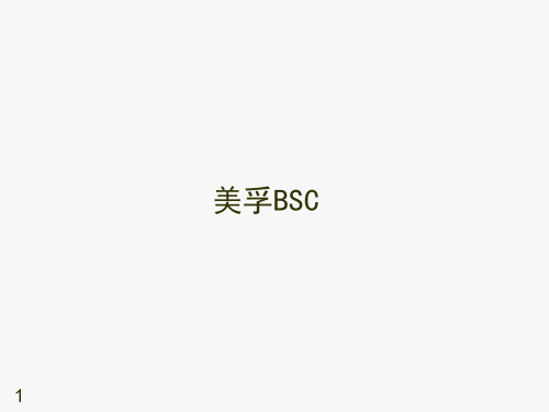 美孚平衡计分卡(BSC)案例