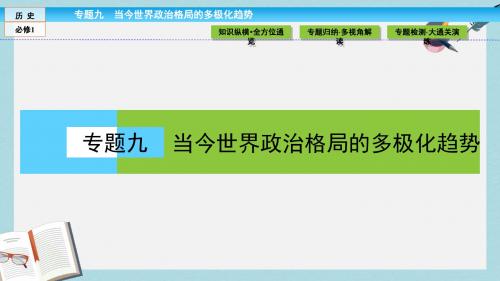 高中历史专题9当今世界政治格局的多极化趋势专题高效整合课件人民版必修1