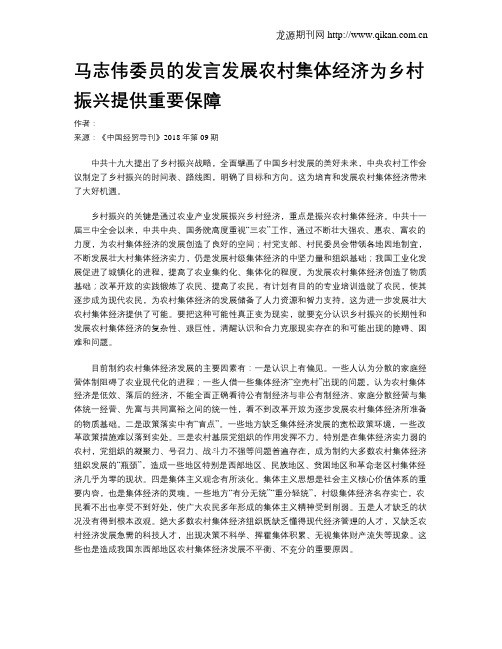 马志伟委员的发言发展农村集体经济为乡村振兴提供重要保障