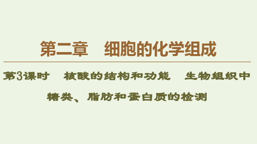高中生物第2章第2节第3课时核酸的结构和功能生物组织中糖类脂肪和蛋白质的检测苏教版必修1
