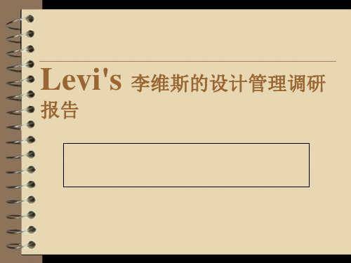 Levis品牌策略调研