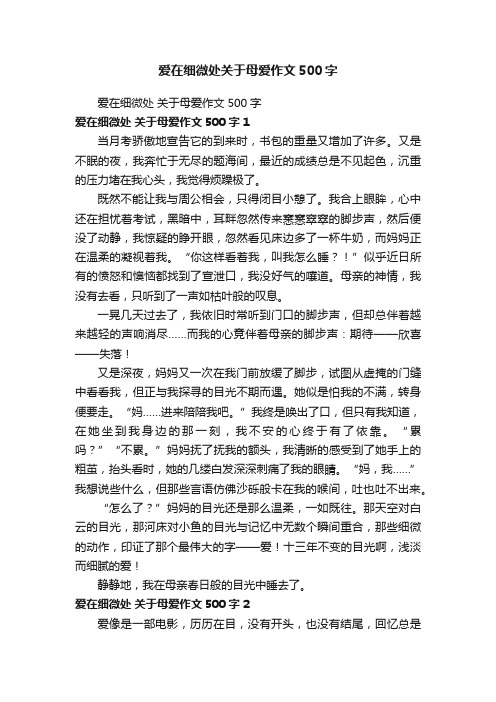 爱在细微处关于母爱作文500字