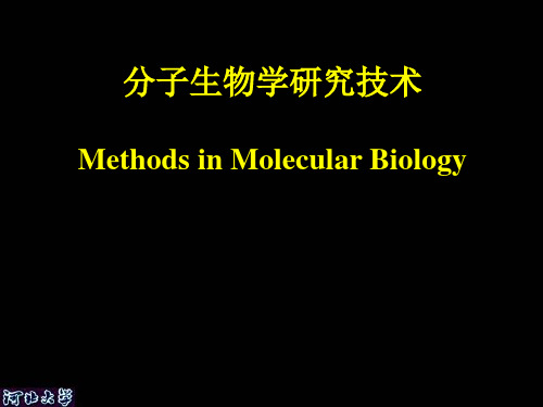 lecture01 DNA重组的四要素