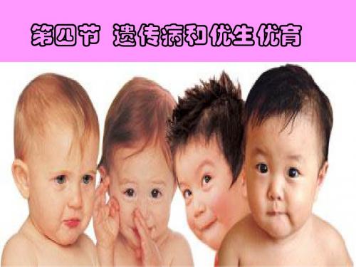 22.4遗传病和优生优育 课件1(苏教版八年级下册)