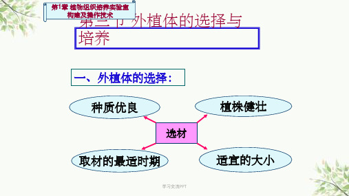 外植体的选择与培养课件