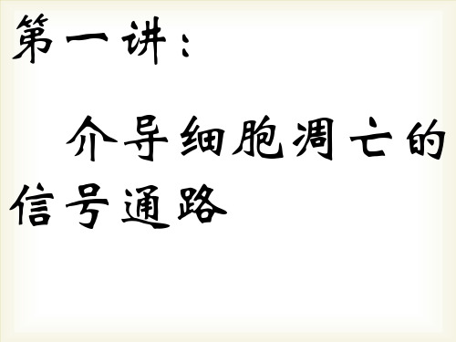 介导细胞凋亡的信号通路