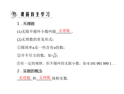 人教版数学八上13.3实数实数的概念ppt课件