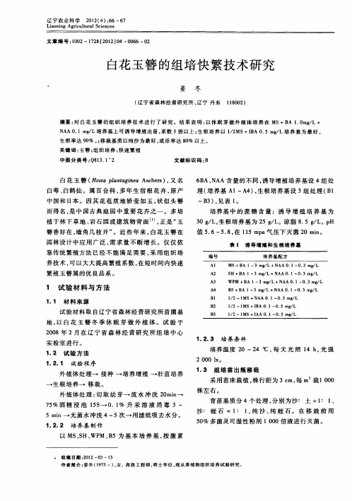 白花玉簪的组培快繁技术研究