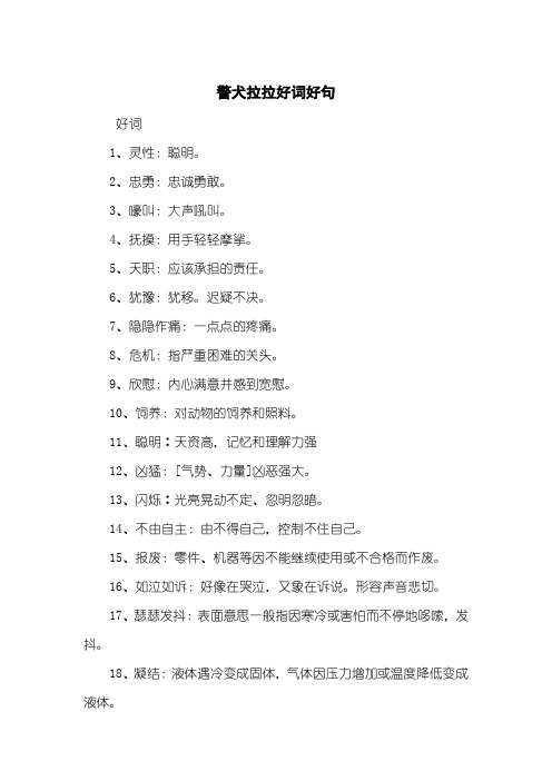 警犬拉拉好词好句