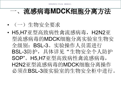 流感病毒的分离培养