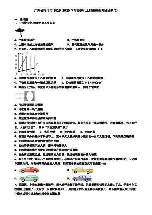 广东省阳江市2019-2020学年物理八上期末模拟考试试题(2)