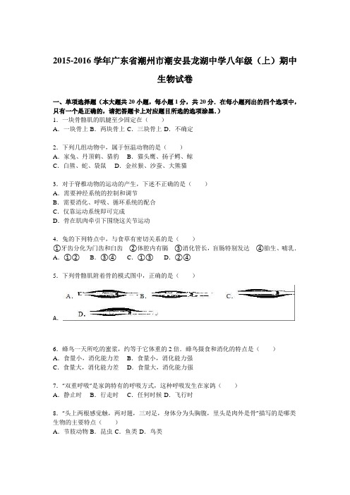 广东省潮州市潮安县龙湖中学2015-2016学年八年级(上)期中生物试卷(解析版)