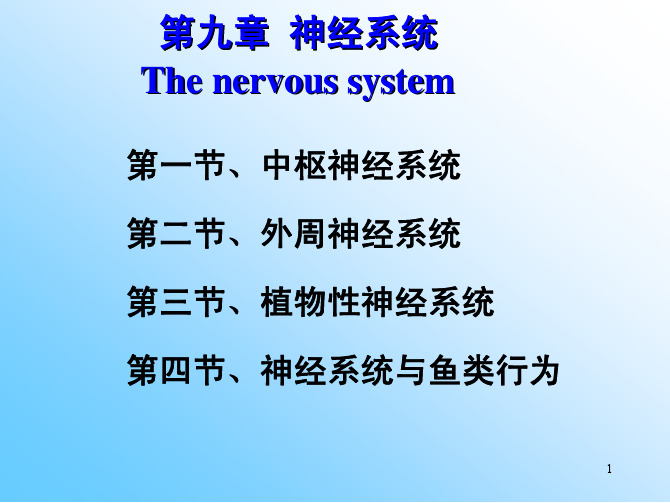 鱼类学课件 第九章