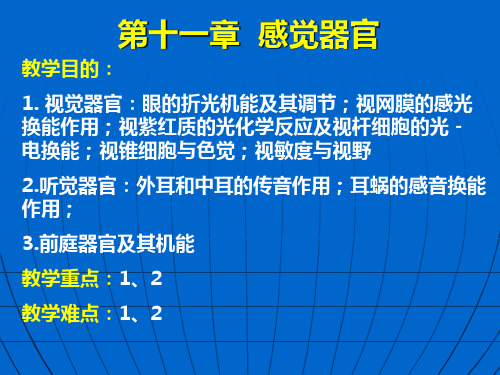 解剖生理学基础—第十一章感觉器官