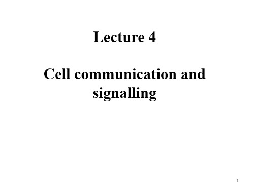 L4-cell-signiling-new PPT课件 