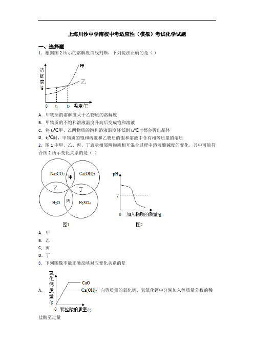 上海川沙中学南校中考适应性(模拟)考试化学试题