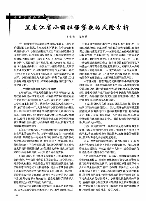 黑龙江省小额担保贷款的风险分析