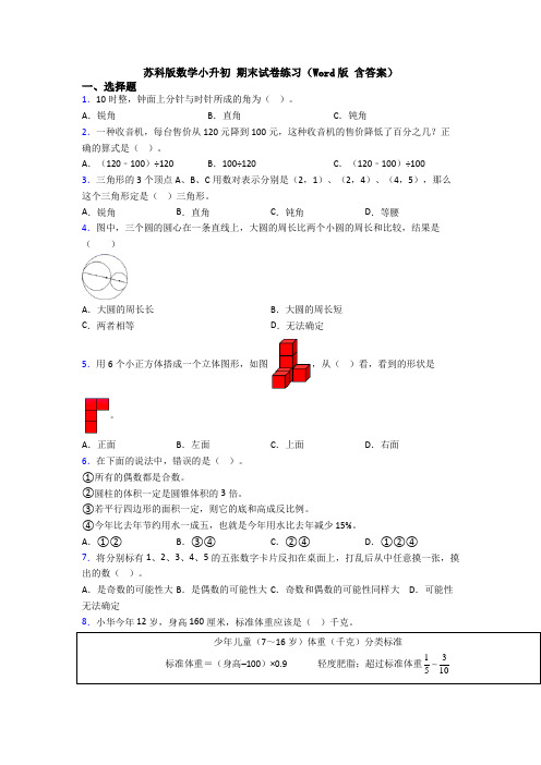 苏科版数学小升初 期末试卷练习（Word版 含答案）