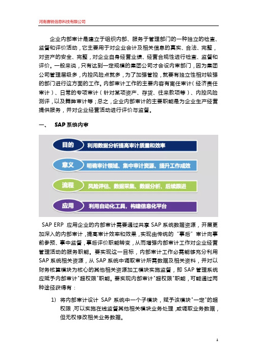 应用于SAP ERP系统的企业内部审计